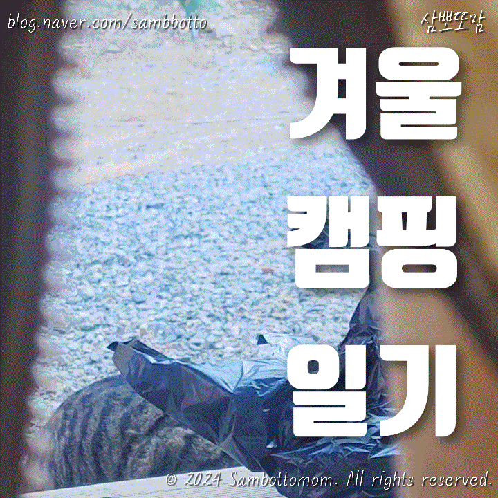  영하 12도, 겨울 캠핑의 맛