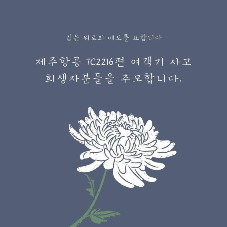  깊은 위로와 애도를 표합니다.