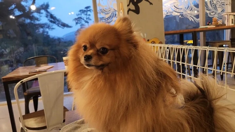 사진 3