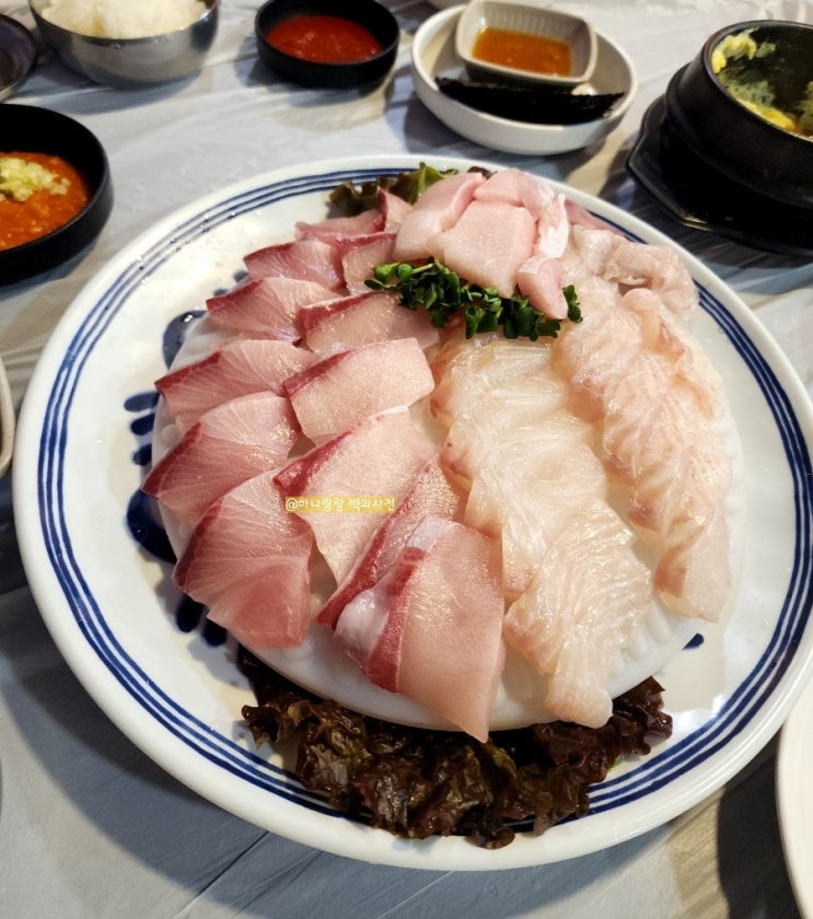  [경기 안양] 가성비 갑 대방어 인덕원횟집 우리수산산오징어