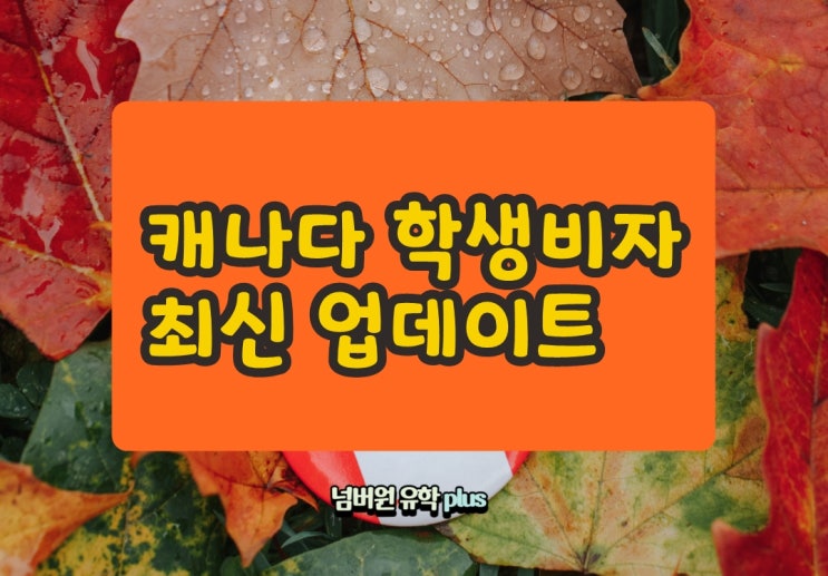캐나다대사관으로 부터 받은 캐나다 학생비자 변경 업데이트