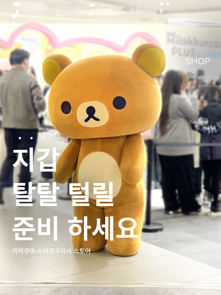  홍대 국내 최초 리락쿠마 스토어, 오픈런까지⁉️ 첫 방문 후기
