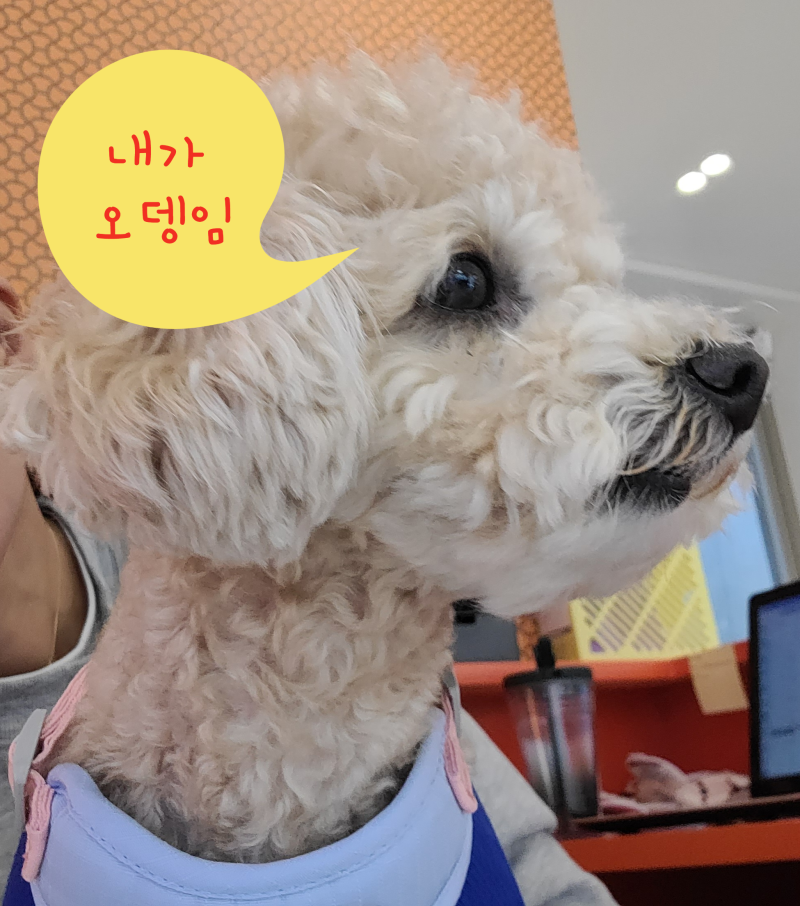 사진 4