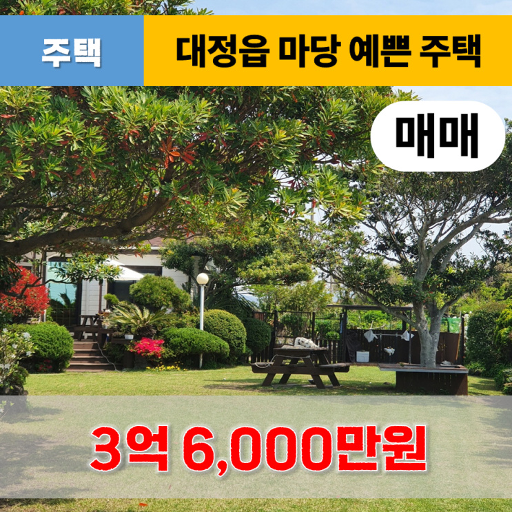  《제주도 전원주택》 대정읍 영락리 마당 예쁘고 텃밭 넓은 전원주택 매매