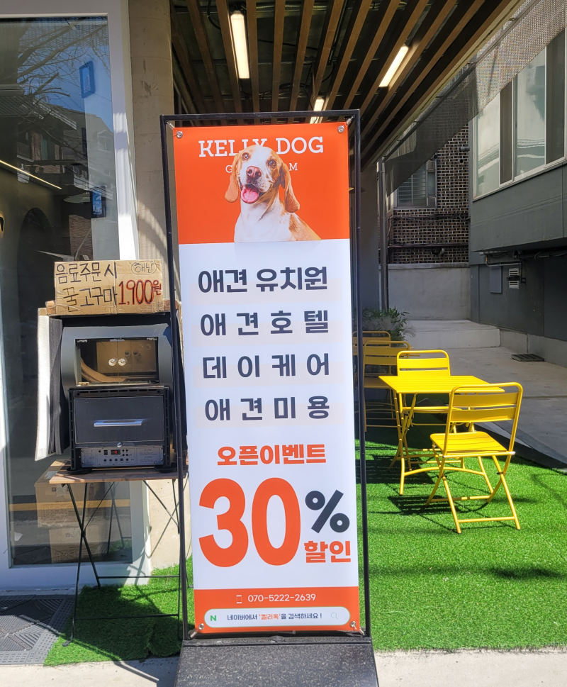 사진 5