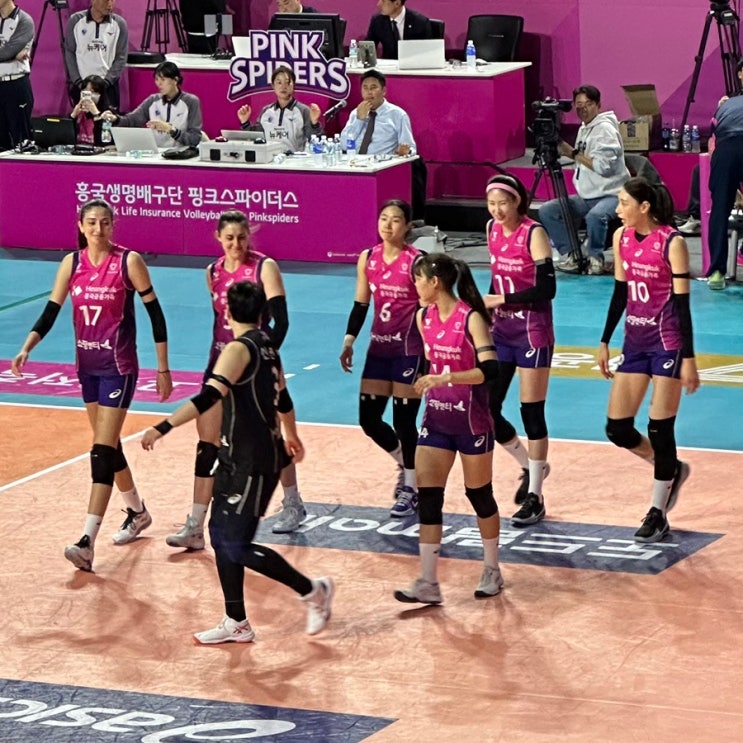 <b>김연경</b> 은퇴 경기 관람 흥국생명 배구단 <b>챔피언결정전</b>... 