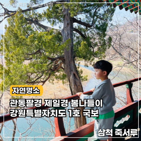  삼척 죽서루 봄나들이 가볼만한곳