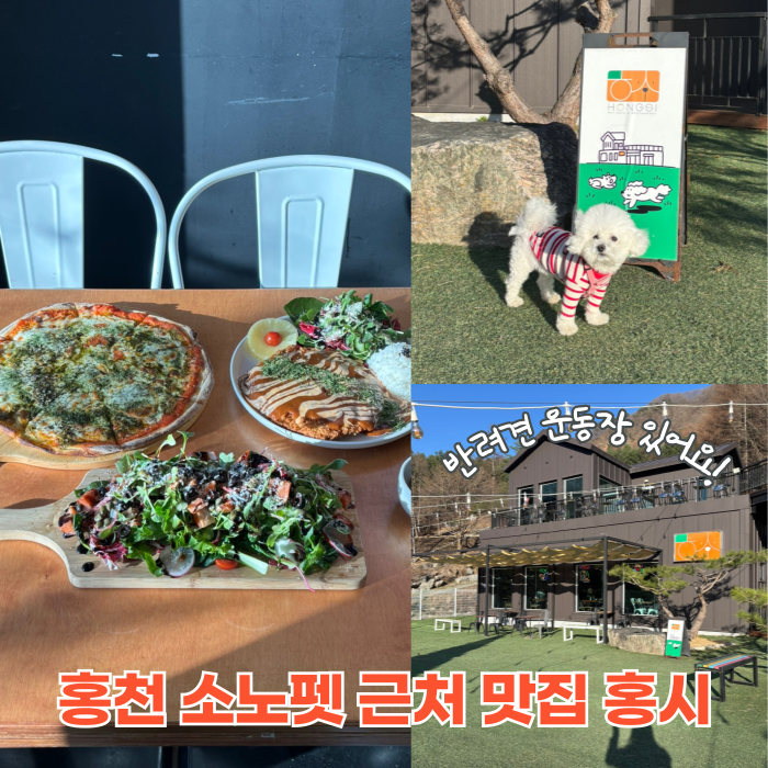  홍천 소노펫 홍천파스타 맛집 애견동반 식당 홍시 후기