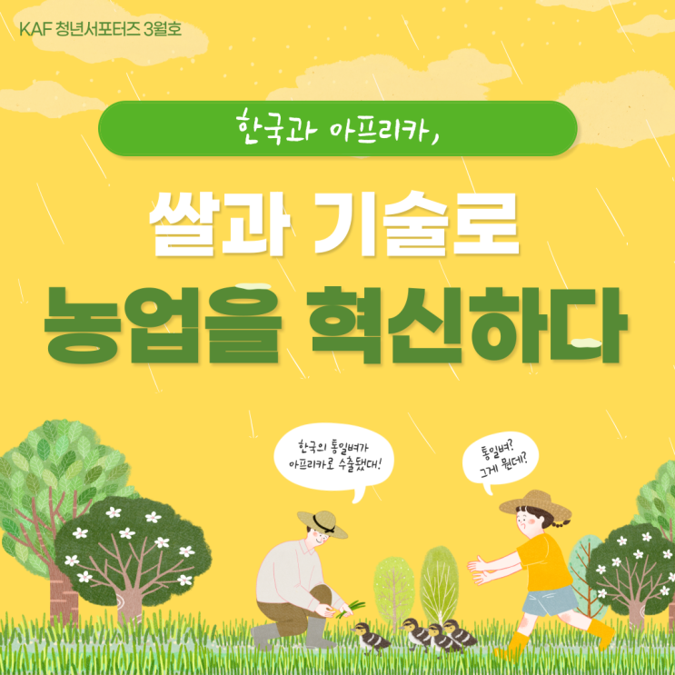  한국과 아프리카, 쌀과 기술로 농업을 혁신하다