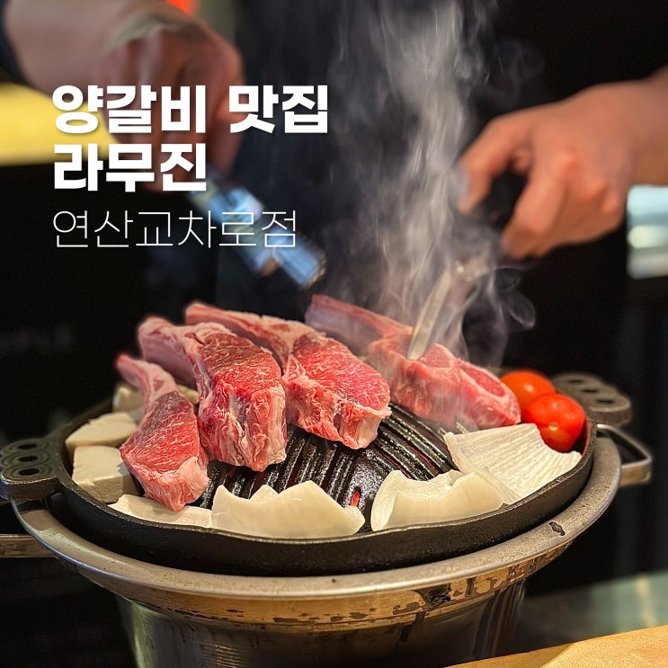 연산동맛집 라무진 부드럽고 입에서 녹는 양갈비 프랜치렉 찐 맛집