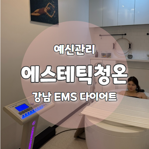  에스테틱 청온 : EMS 스파로 바디관리 받은 강남다이어트 추천후기