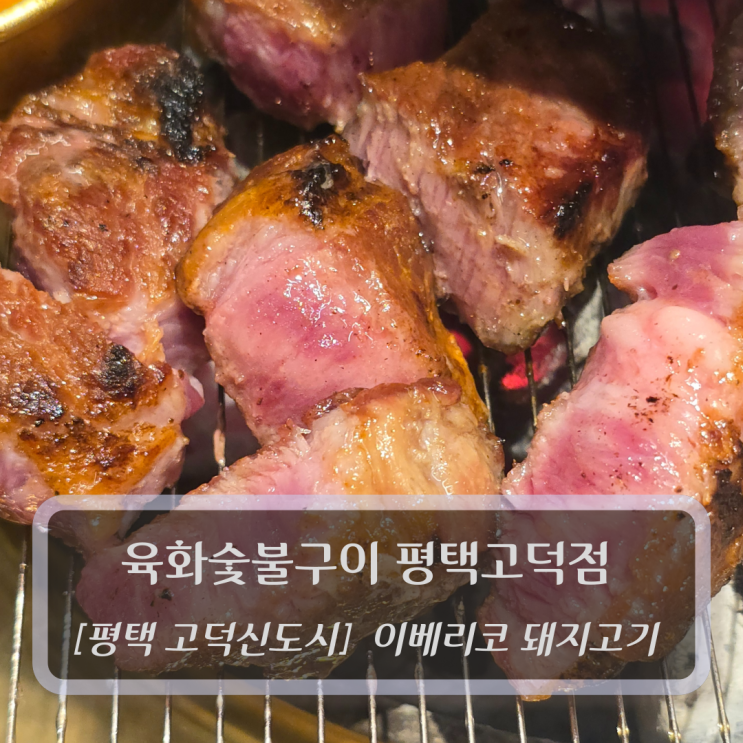  평택 고덕동삼겹살 :: 육화숯불구이 평택고덕점 - 이베리코 고기집 후기