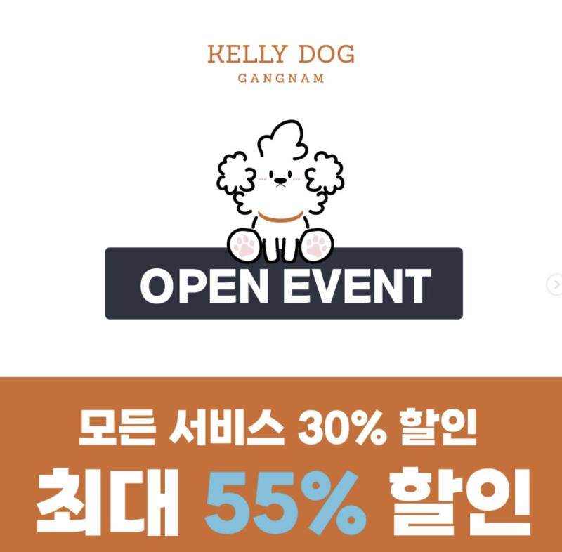 사진 6