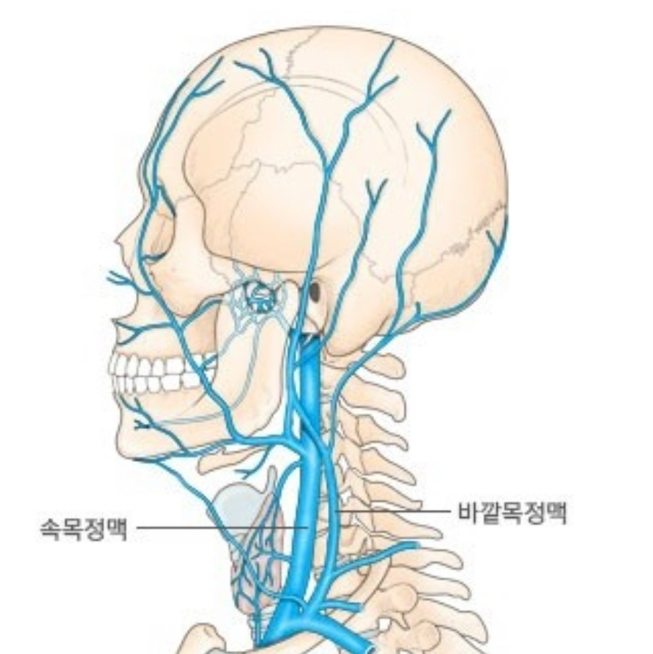  부산 동래구 피부관리 탄력관리 / 부종관리