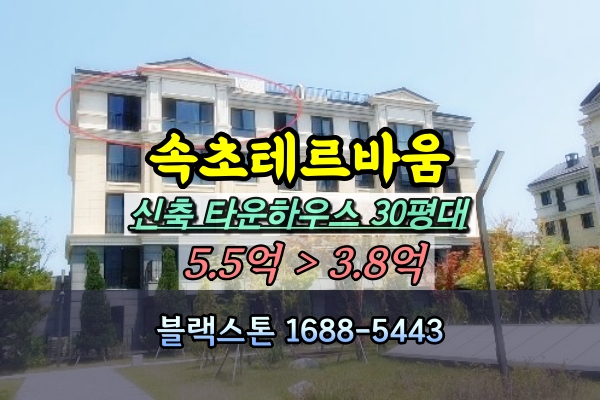 속초테르바움 타운하우스 경매 테라스하우스 [2024타경813]