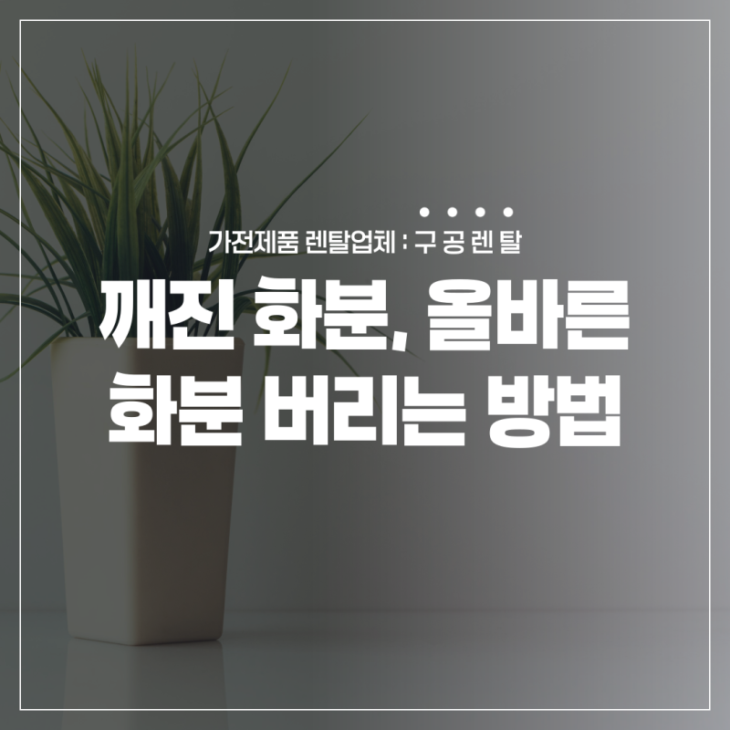 깨진 화분 어떻게 버리지? 올바른 화분 버리는 방법