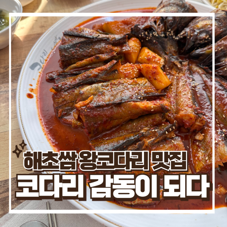  코다리 감동이 되다 본점에서 한식 조림 추천 - 용인 처인구 맛집