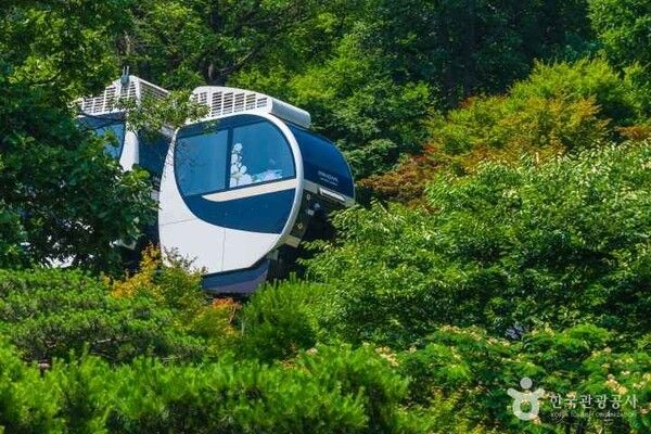  화담숲 예약 바뀌었다? 2025년 예약 방법 총정리
