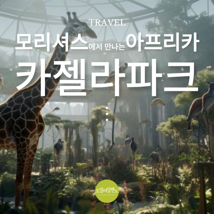  모리셔스 여행에서 만나는 아프리카! 카젤라 파크 완벽 가이드