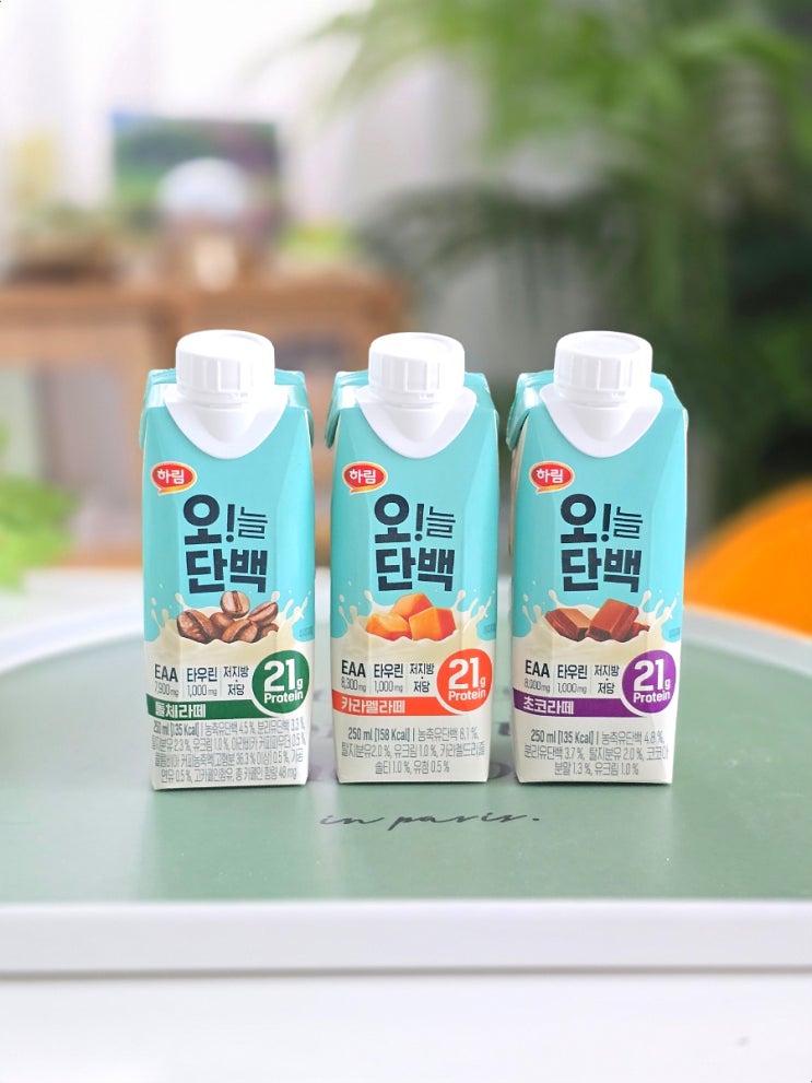 편의점 단백질 음료 추천 하림오늘단백 프로틴음료 후기 편의점 단백질 음료 추천 하림오늘단백 프로틴음료 후기