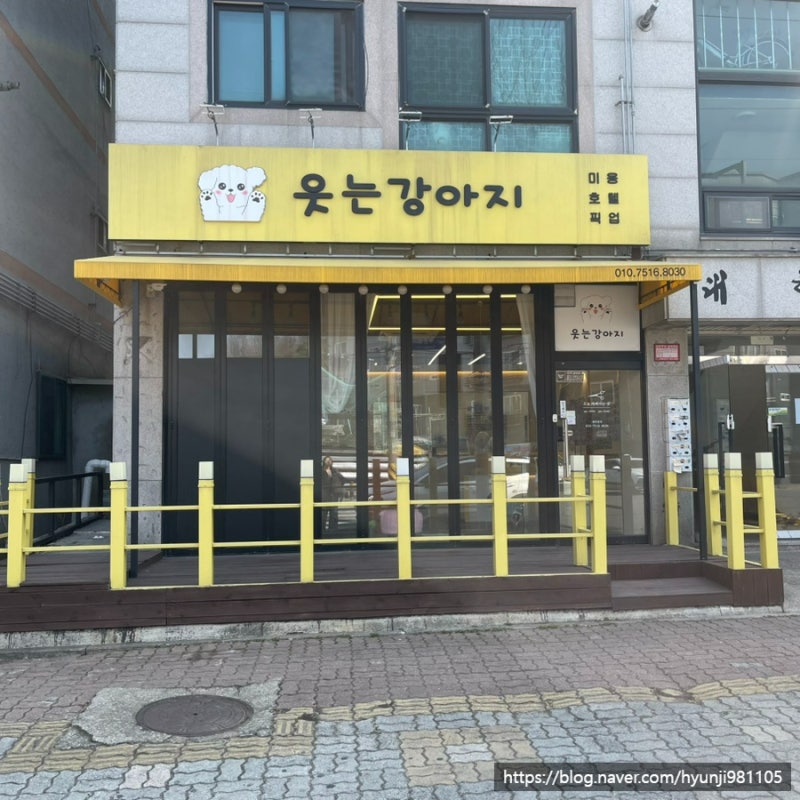 사진 4