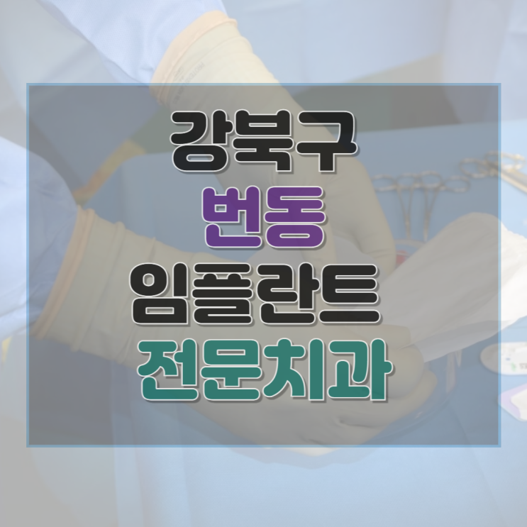  강북구 번동 치과 임플란트 종류 가격 및 실제 후기 총정리