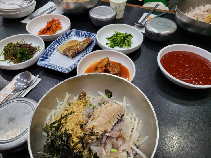  대구 수성구 맛집 울진 참가자미, 고추장 물회 VS 속초 청초수 비교 체험