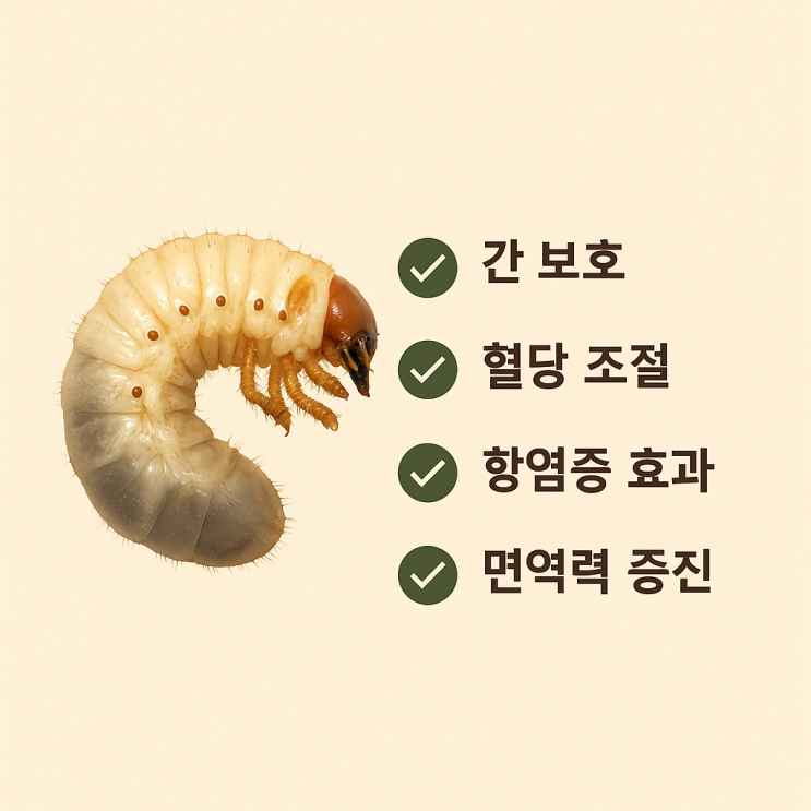  흰점박이꽃무지 효능과 대체재 (feat. 펩티드 요법 효과)