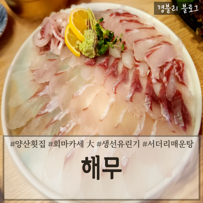  양산범어맛집 양산횟집 양산회마카세 '해무'