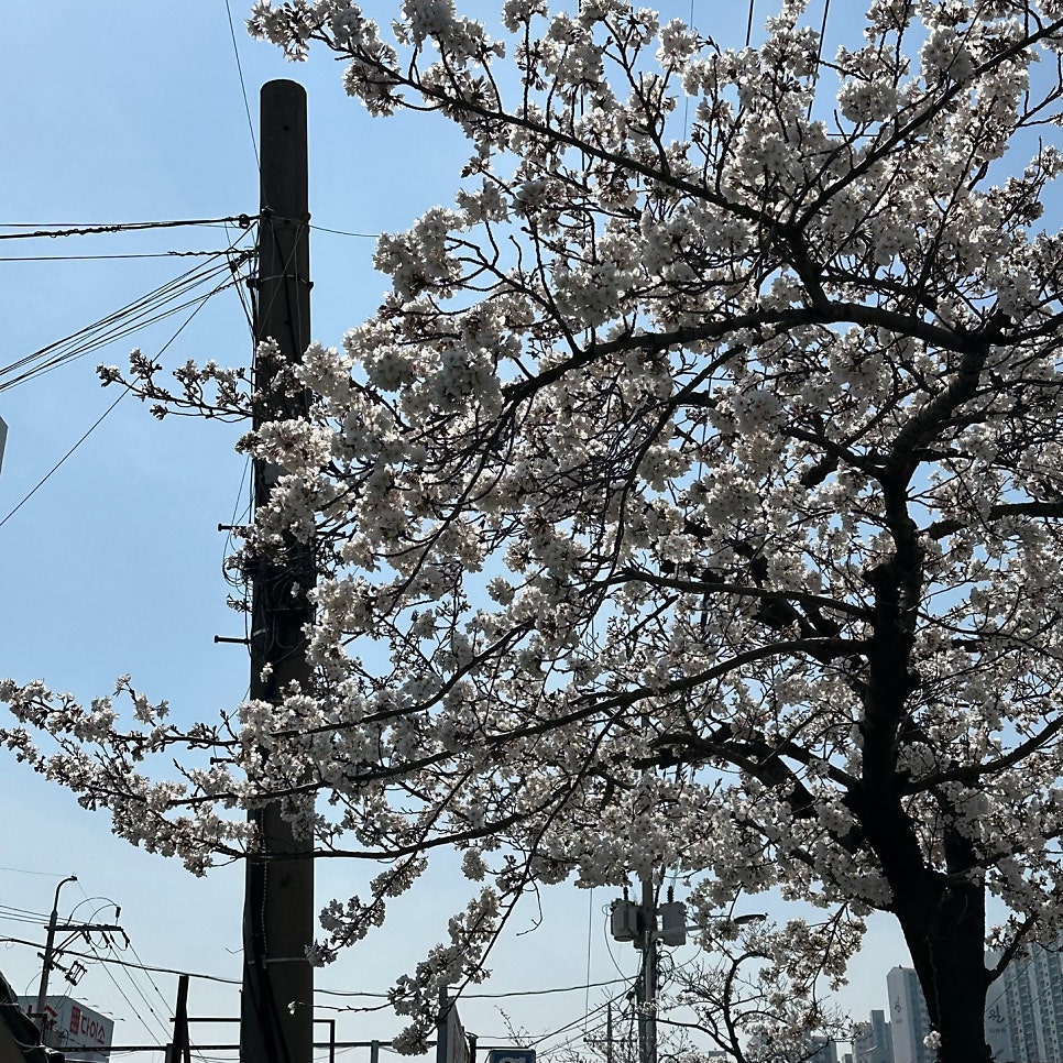 토담돼지국밥 장림점 사진 1