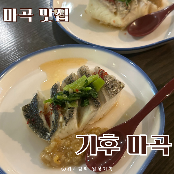  서울 마곡 맛집 기후 보양 오마카세 먹고왔어요