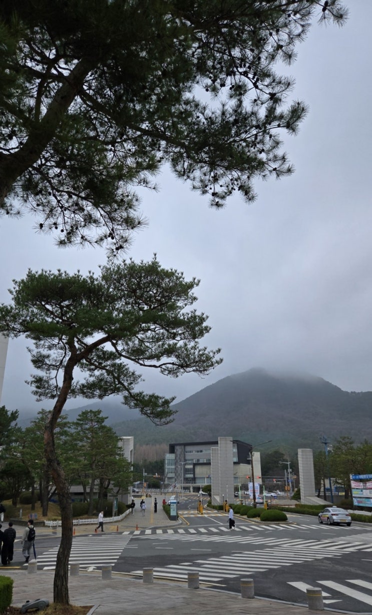  회사가 산 근처면 좋은 점