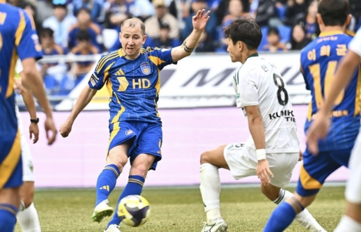 2025시즌 K리그 국내 프로축구 7라운드 울산현대 대전하나시티즌 2025시즌 K리그 국내 프로축구 7라운드 울산현대 대전하나시티즌