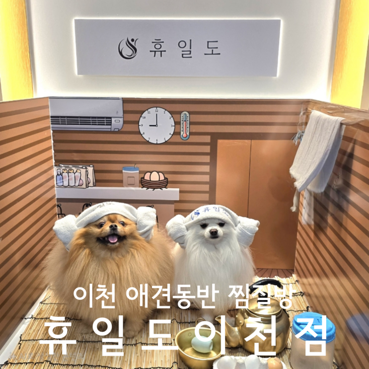  경기도 이천 애견카페 부럽지 않은 휴일도 애견동반 찜질방 후기