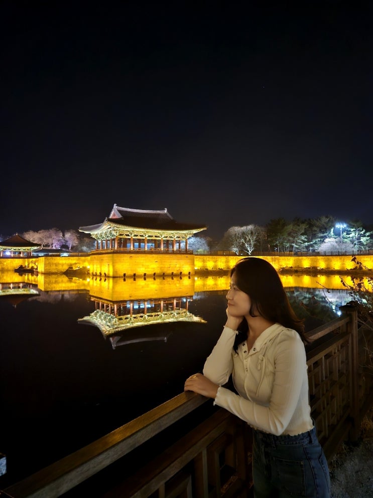  경주 여행) 동궁과 월지/ 라한 셀렉트 호텔 인생 북카페
