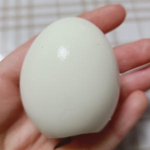 내돈내산 gs25 편의점 감동란 솔직후기 추천 칼로리 가격 다이어트