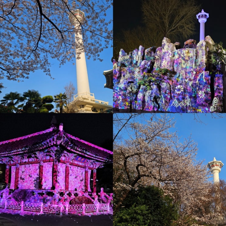  부산 벚꽃명소 용두산 공원 야경명소 데이트