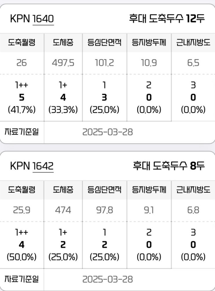  25년 상반기 신규 KPN 씨수소 후대축 도축성적[2025.3.28기준]