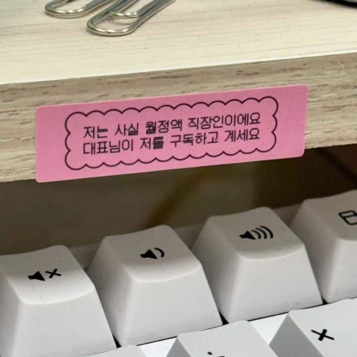  3월,, 춥다 ,,, 덥다,,, 춥다 ,,,