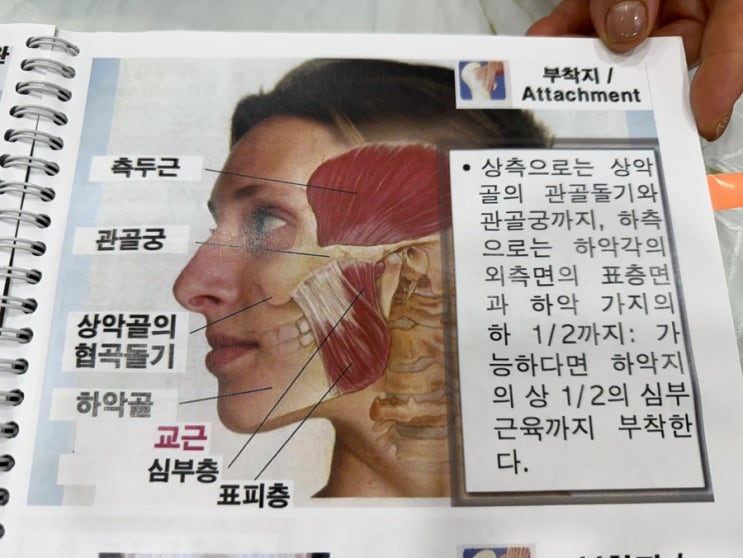  부천 송내 피부 체형관리 벨르바디에서 웨딩케어 받고왔어요