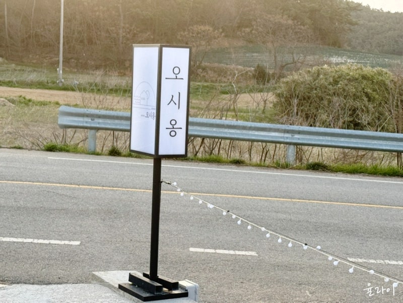 사진 5