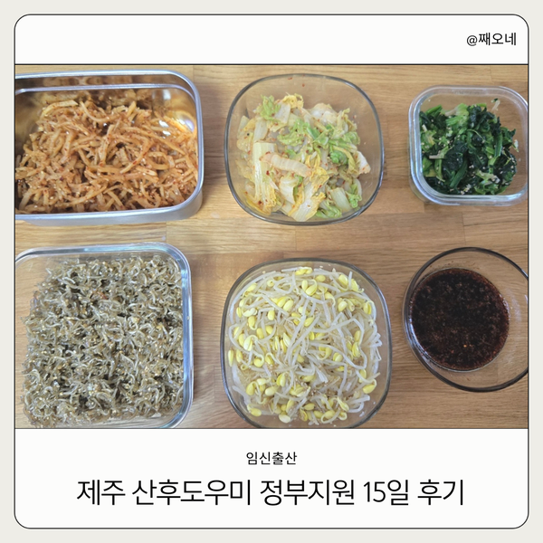 제주 산후도우미 지원금 안내 및 15일 연장 이용후기