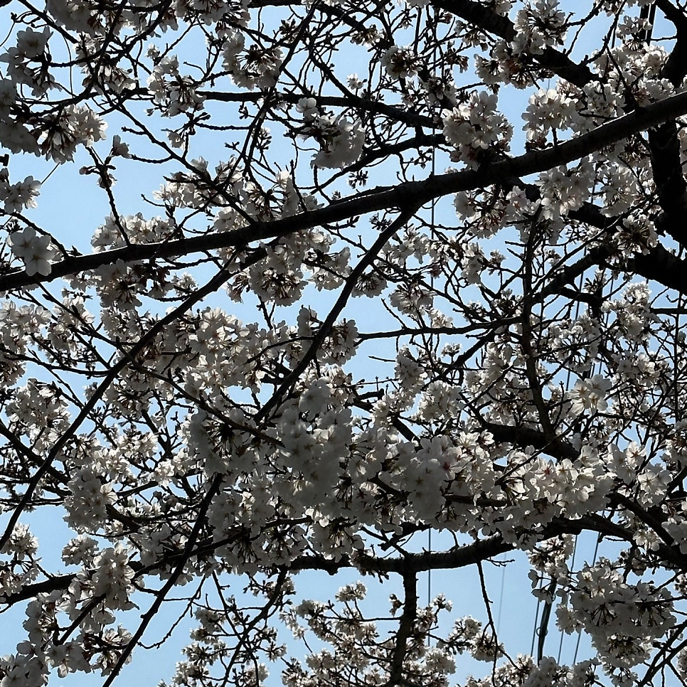 토담돼지국밥 장림점 사진 2