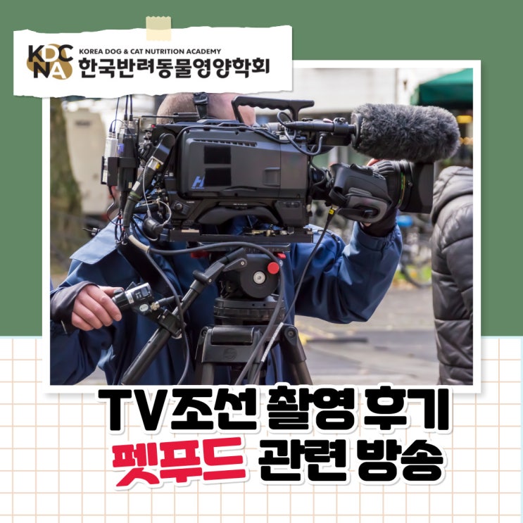  설날 명절 펫푸드 반려동물도 함께 즐기는 건강한 명절 음식 방송 촬영