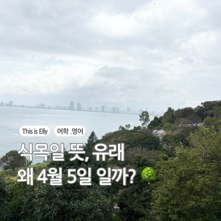  식목일 뜻과 유래, 왜 4월 5일 일까?  나무심기추천