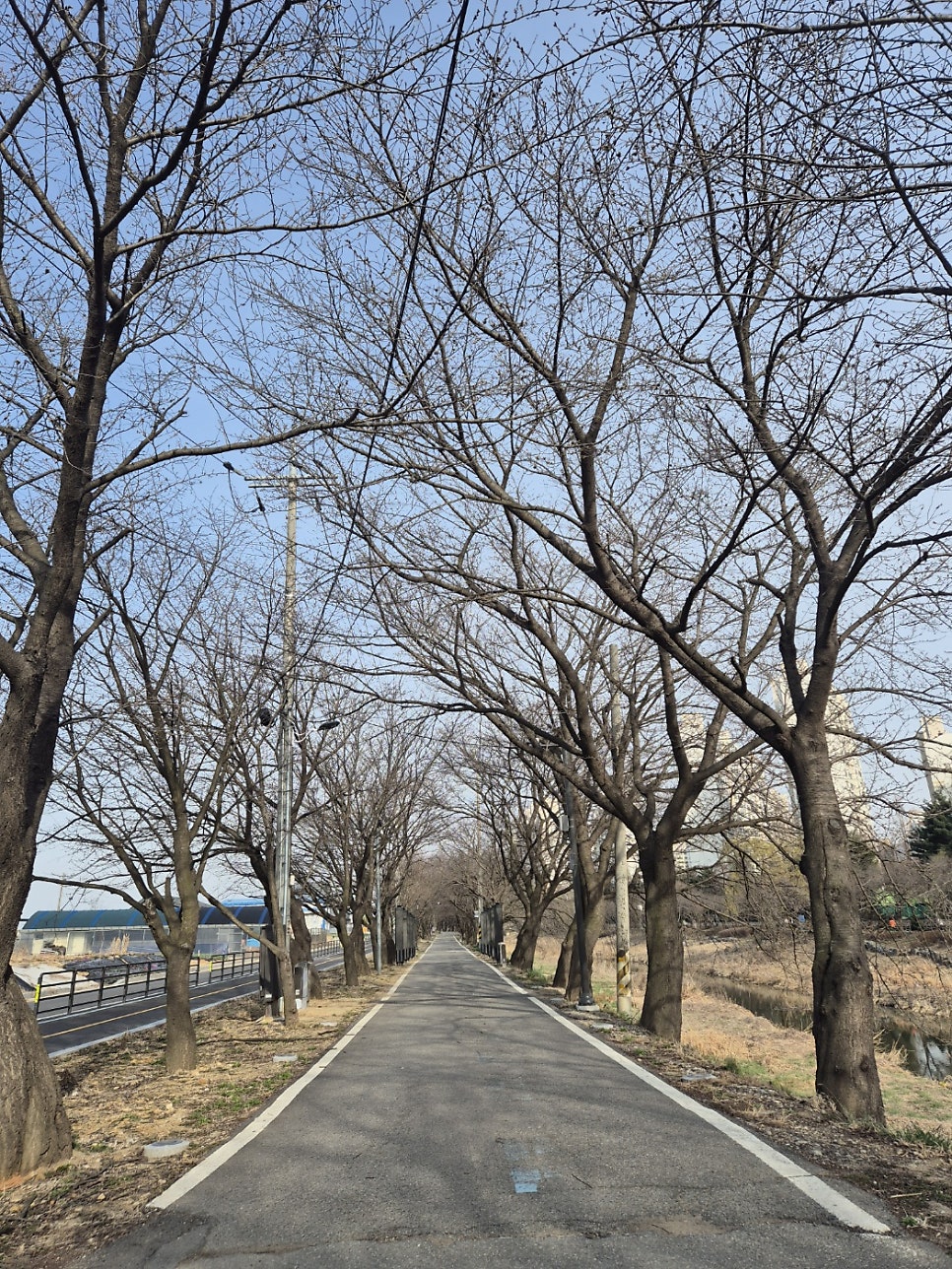 카페위덴 사진 1