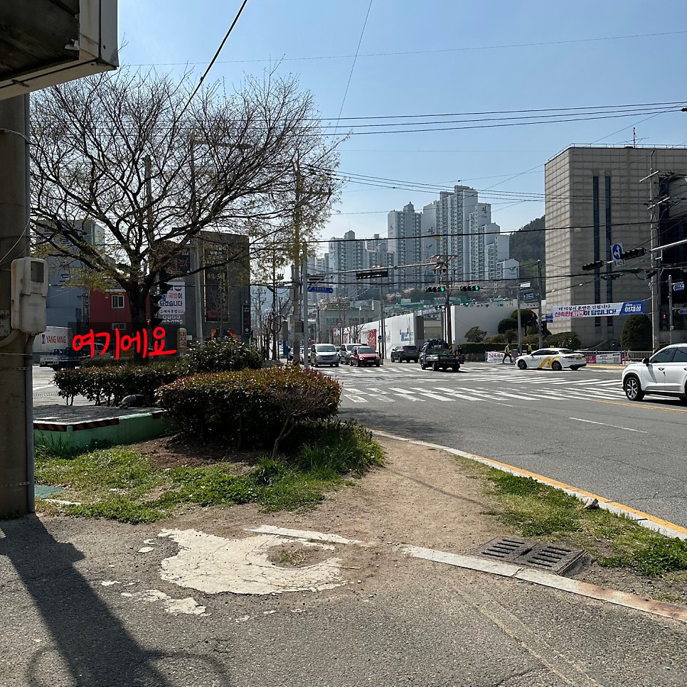 토담돼지국밥 장림점 사진 6