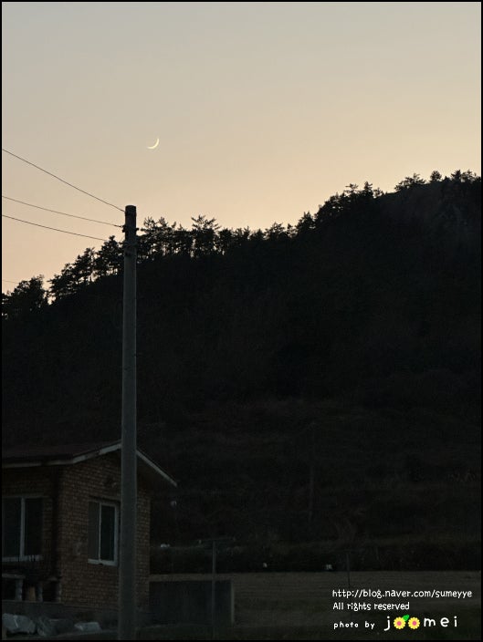 서진도농협하나로마트 동부점 사진 2