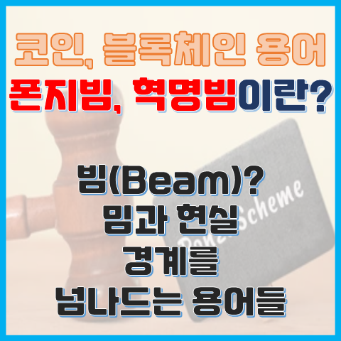 폰지빔 혁명빔이란? 밈과 현실 경계를 넘나드는 용어 폰지빔 혁명빔이란? 밈과 현실 경계를 넘나드는 용어