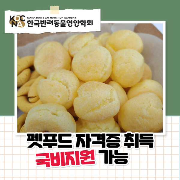  국비 내일배움카드로 배우는 펫푸드 수제간식 과정 훈련 시간표